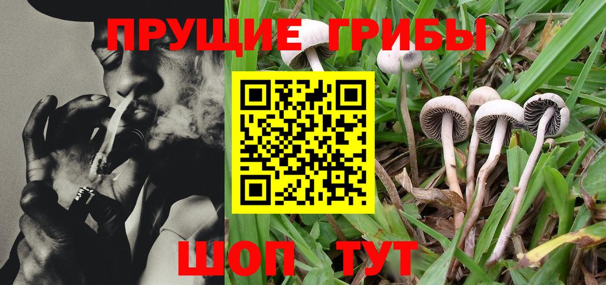 Псилоцибиновые грибы Magic Shrooms Ефремов